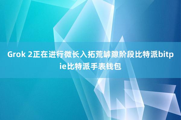 Grok 2正在进行微长入拓荒罅隙阶段比特派bitpie比特派手表钱包