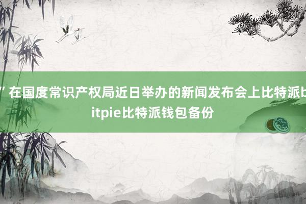 ”在国度常识产权局近日举办的新闻发布会上比特派bitpie比特派钱包备份