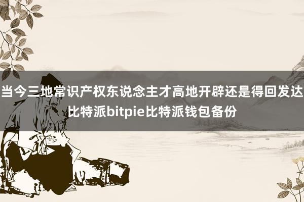 当今三地常识产权东说念主才高地开辟还是得回发达比特派bitpie比特派钱包备份