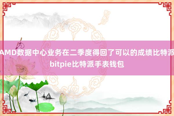 AMD数据中心业务在二季度得回了可以的成绩比特派bitpie比特派手表钱包