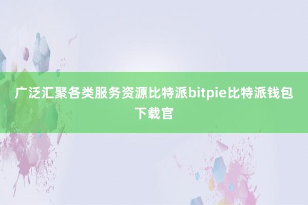 广泛汇聚各类服务资源比特派bitpie比特派钱包下载官