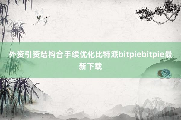 外资引资结构合手续优化比特派bitpiebitpie最新下载