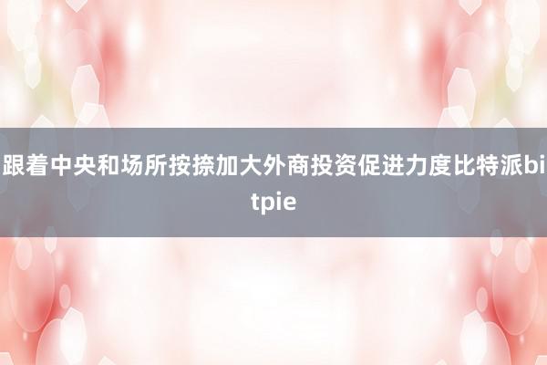 跟着中央和场所按捺加大外商投资促进力度比特派bitpie