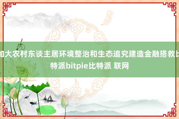 加大农村东谈主居环境整治和生态追究建造金融搭救比特派bitpie比特派 联网