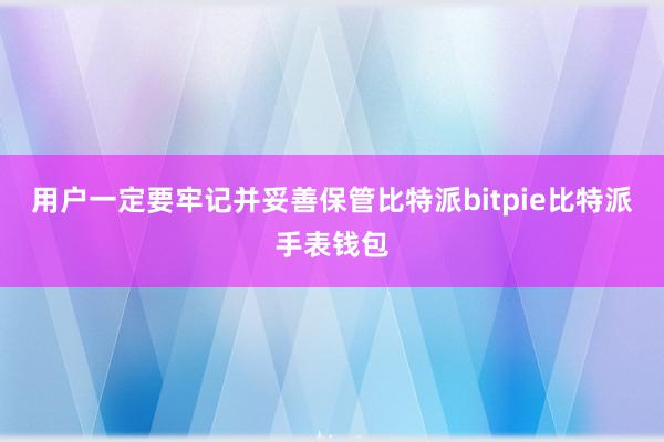 用户一定要牢记并妥善保管比特派bitpie比特派手表钱包