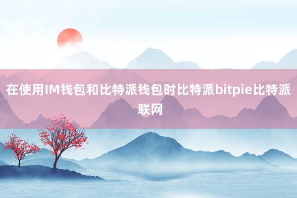 在使用IM钱包和比特派钱包时比特派bitpie比特派 联网