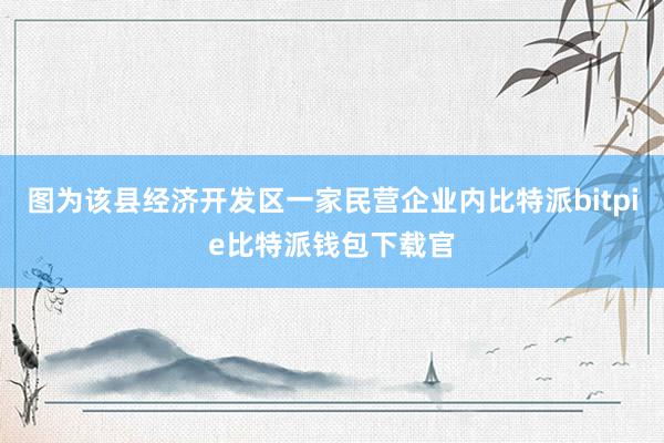 图为该县经济开发区一家民营企业内比特派bitpie比特派钱包下载官