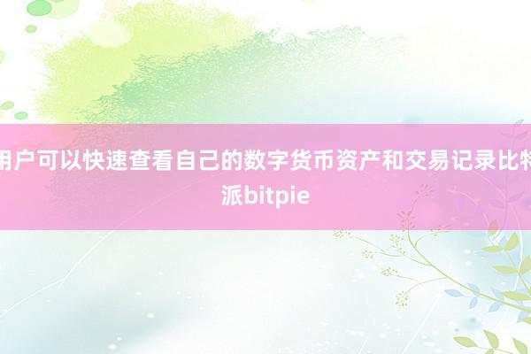 用户可以快速查看自己的数字货币资产和交易记录比特派bitpie