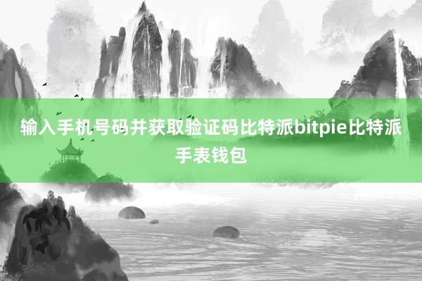 输入手机号码并获取验证码比特派bitpie比特派手表钱包