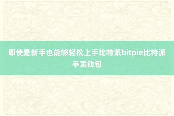 即使是新手也能够轻松上手比特派bitpie比特派手表钱包