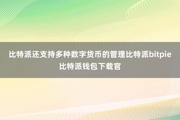 比特派还支持多种数字货币的管理比特派bitpie比特派钱包下载官