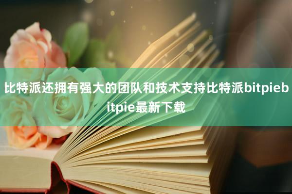 比特派还拥有强大的团队和技术支持比特派bitpiebitpie最新下载