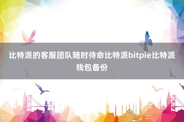 比特派的客服团队随时待命比特派bitpie比特派钱包备份