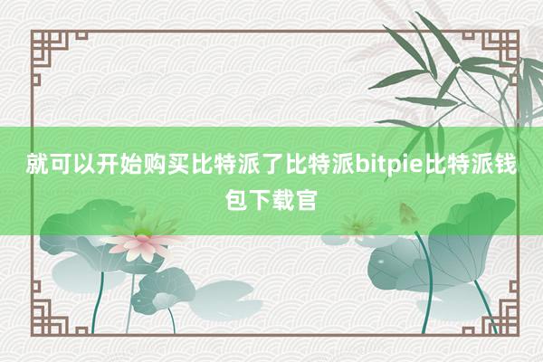 就可以开始购买比特派了比特派bitpie比特派钱包下载官