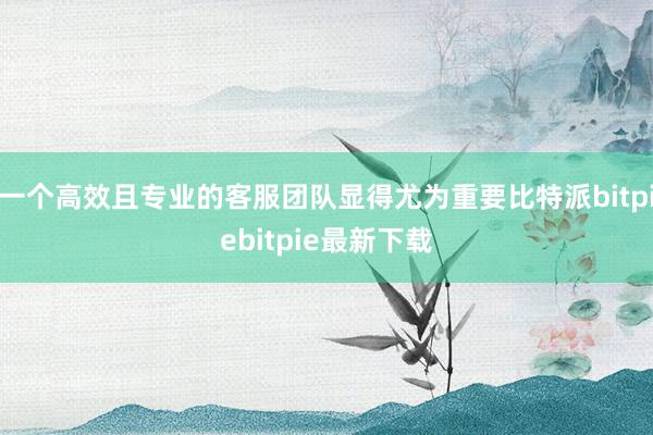 一个高效且专业的客服团队显得尤为重要比特派bitpiebitpie最新下载