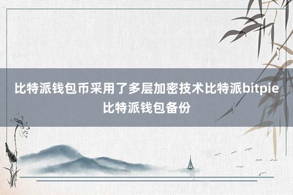 比特派钱包币采用了多层加密技术比特派bitpie比特派钱包备份