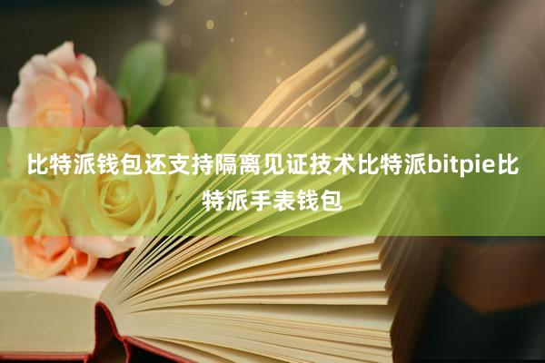 比特派钱包还支持隔离见证技术比特派bitpie比特派手表钱包