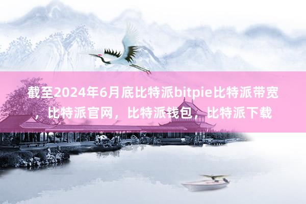 截至2024年6月底比特派bitpie比特派带宽，比特派官网，比特派钱包，比特派下载