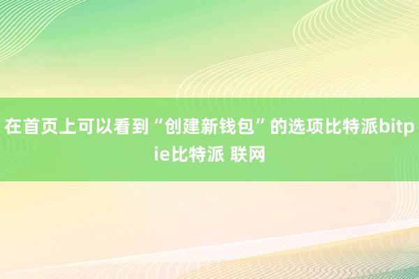 在首页上可以看到“创建新钱包”的选项比特派bitpie比特派 联网