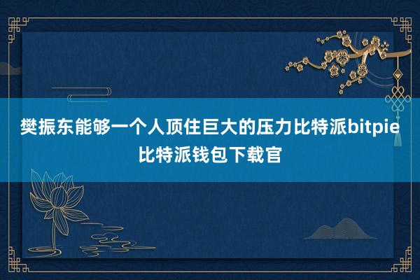 樊振东能够一个人顶住巨大的压力比特派bitpie比特派钱包下载官