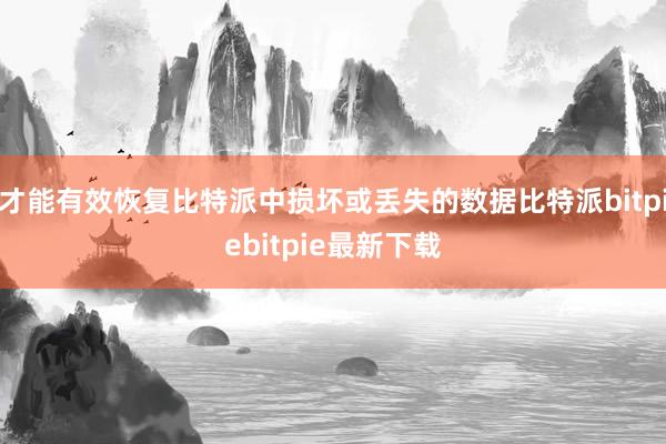 才能有效恢复比特派中损坏或丢失的数据比特派bitpiebitpie最新下载