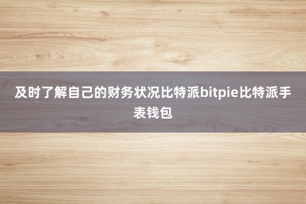 及时了解自己的财务状况比特派bitpie比特派手表钱包