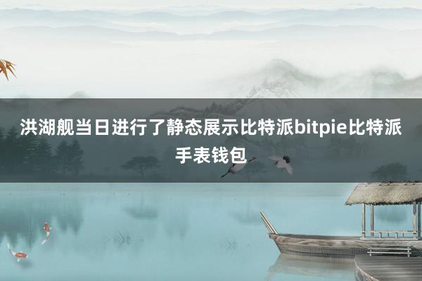 洪湖舰当日进行了静态展示比特派bitpie比特派手表钱包