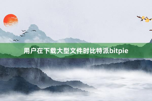 用户在下载大型文件时比特派bitpie