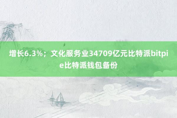 增长6.3%；文化服务业34709亿元比特派bitpie比特派钱包备份