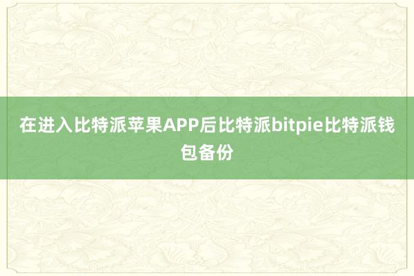 在进入比特派苹果APP后比特派bitpie比特派钱包备份