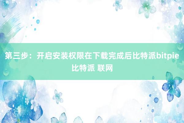 第三步：开启安装权限在下载完成后比特派bitpie比特派 联网