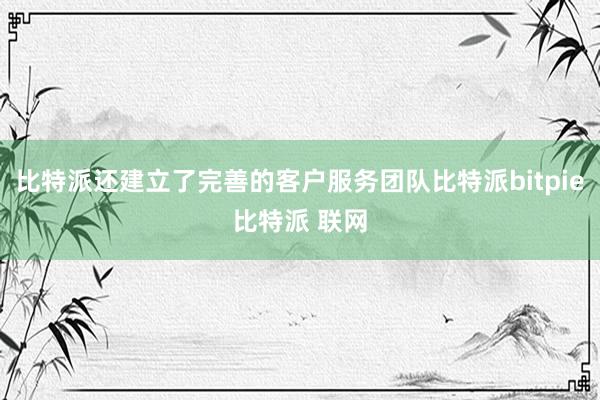 比特派还建立了完善的客户服务团队比特派bitpie比特派 联网