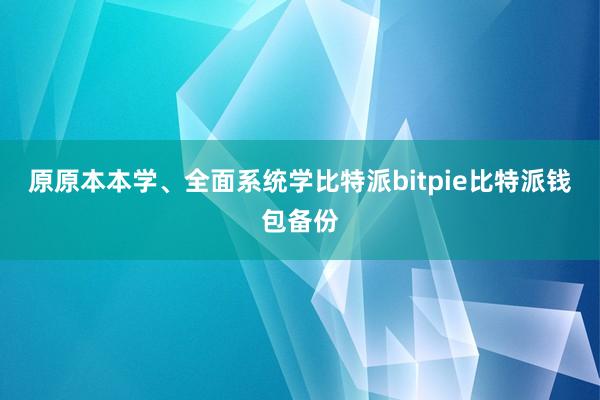 原原本本学、全面系统学比特派bitpie比特派钱包备份