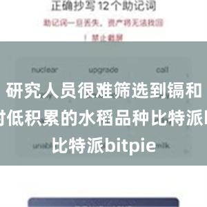 研究人员很难筛选到镉和砷同时低积累的水稻品种比特派bitpie