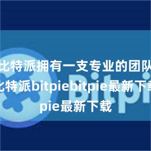 比特派拥有一支专业的团队比特派bitpiebitpie最新下载