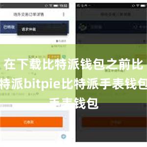 在下载比特派钱包之前比特派bitpie比特派手表钱包