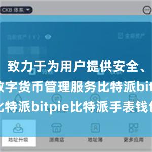 致力于为用户提供安全、便捷的数字货币管理服务比特派bitpie比特派手表钱包