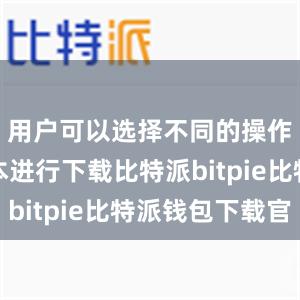 用户可以选择不同的操作系统版本进行下载比特派bitpie比特派钱包下载官