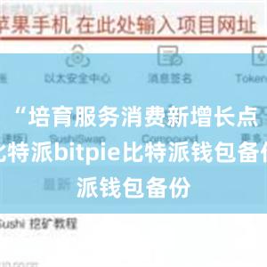 “培育服务消费新增长点比特派bitpie比特派钱包备份