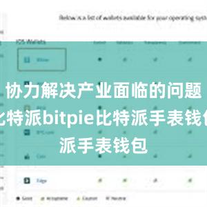 协力解决产业面临的问题比特派bitpie比特派手表钱包