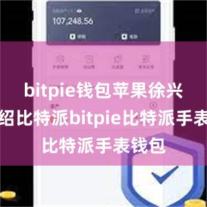 bitpie钱包苹果徐兴锋介绍比特派bitpie比特派手表钱包