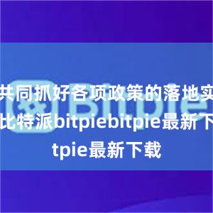 共同抓好各项政策的落地实施比特派bitpiebitpie最新下载