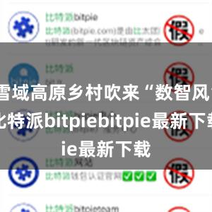 雪域高原乡村吹来“数智风”比特派bitpiebitpie最新下载