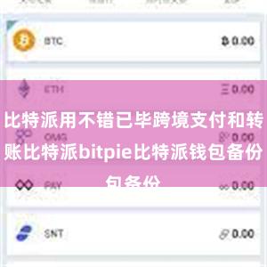 比特派用不错已毕跨境支付和转账比特派bitpie比特派钱包备份