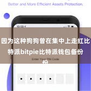 因为这种狗狗曾在集中上走红比特派bitpie比特派钱包备份