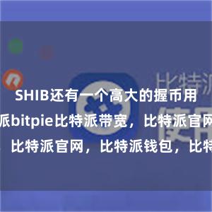 SHIB还有一个高大的握币用户群体比特派bitpie比特派带宽，比特派官网，比特派钱包，比特派下载