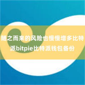 随之而来的风险也慢慢增多比特派bitpie比特派钱包备份