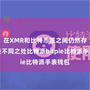 在XMR和比特币派之间仍然存在一些不同之处比特派bitpie比特派手表钱包