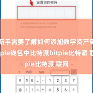 新手需要了解如何添加数字资产到Bitpie钱包中比特派bitpie比特派 联网