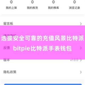 选拔安全可靠的充值风景比特派bitpie比特派手表钱包